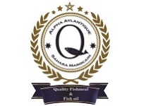 Alpha Atlantique de Sahara