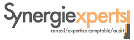 SYNERGIE EXPERTS